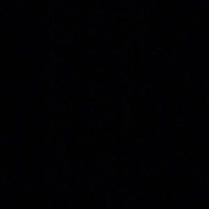 Meet your Posher, Dylan